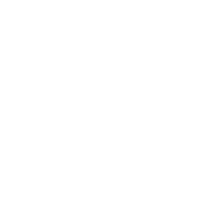 Georgia software development company