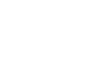 Georgia software development company
